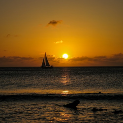 Bonaire 2014